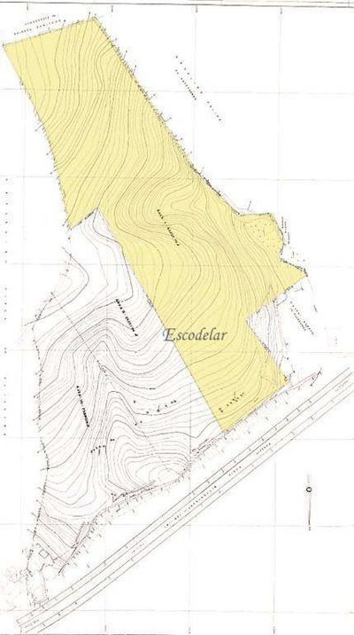 Terreno, 6 hectares - Foto 4