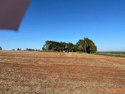 Terreno, 18 hectares - Foto 3