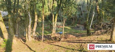 Chácara, 3 quartos, 1 hectares - Foto 4