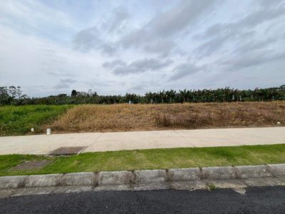 Terreno, 300 m² - Foto 3