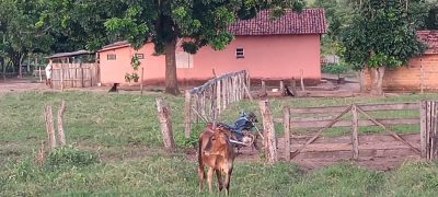 Chácara - Foto 2