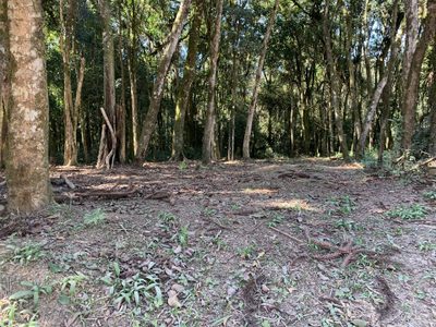 Terreno, 2 hectares - Foto 4