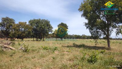 Chácara, 1 quarto - Foto 2