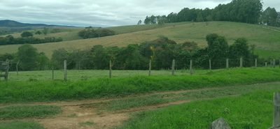 Fazenda, 220 hectares - Foto 2