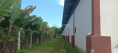 Depósito-Galpão, 280 m² - Foto 3