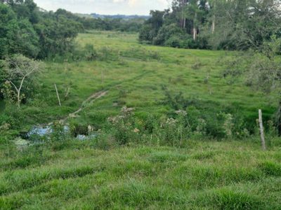 Fazenda, 3 m² - Foto 5