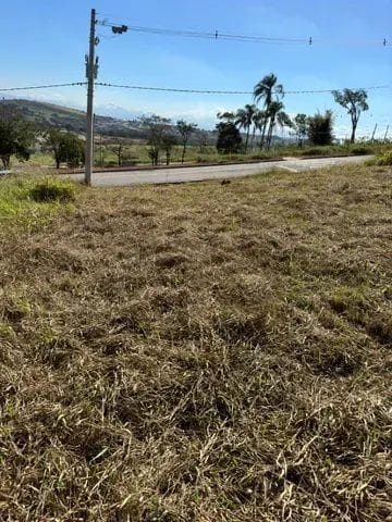 Terreno, 250 m² - Foto 4