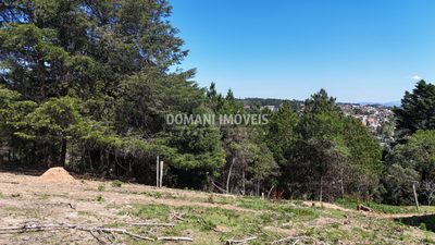 Terreno, 1170 m² - Foto 5