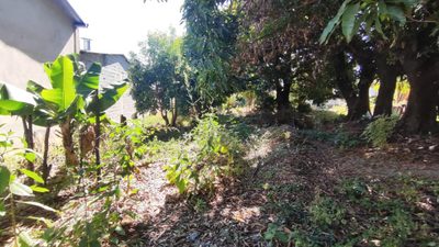 Terreno, 1200 m² - Foto 3