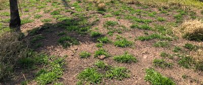 Terreno - Foto 4
