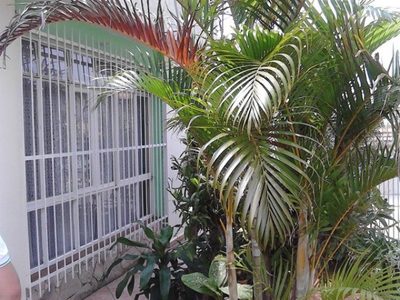 Casa, 2 quartos, 209 m² - Foto 5