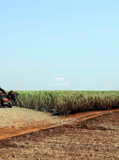Fazenda - Foto 5