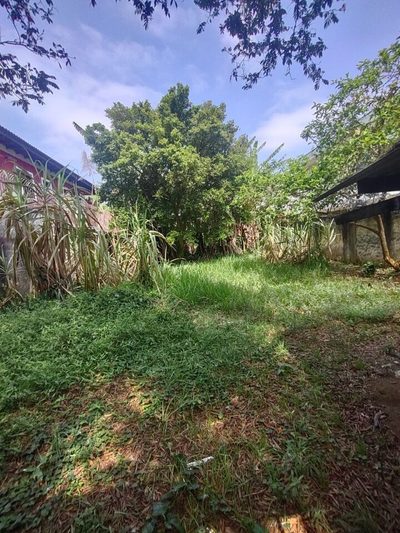 Terreno, 351 m² - Foto 5