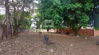 Terreno, 1000 m² - Foto 4