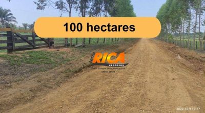 Fazenda, 100 hectares - Foto 1