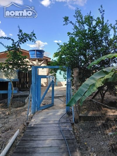 Casa, 3 quartos, 1036 m² - Foto 4