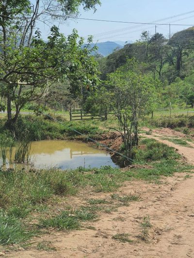 Terreno, 2 hectares - Foto 4
