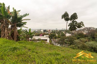 Terreno, 2347 m² - Foto 3