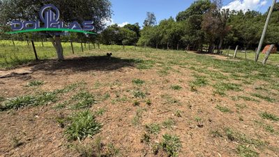 Terreno - Foto 2