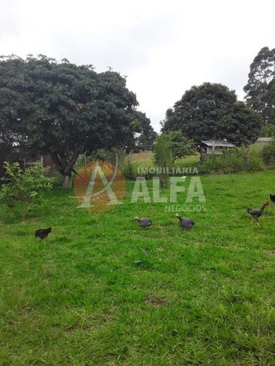Chácara, 2 quartos, 1500 m² - Foto 5