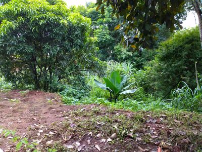 Terreno, 500 m² - Foto 5