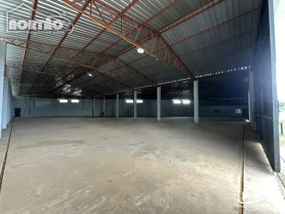 Casa, 3 quartos, 1177 m² - Foto 3