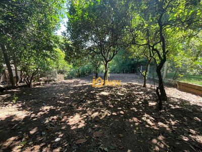 Terreno, 540 m² - Foto 3
