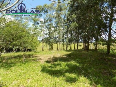 Sítio, 2 quartos, 19 hectares - Foto 4