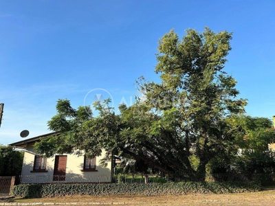 Terreno, 1168 m² - Foto 3