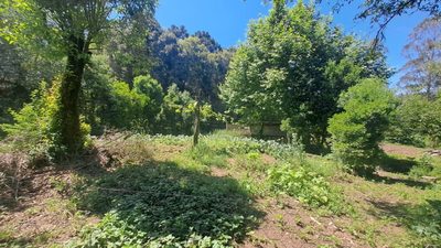 Terreno, 16 hectares - Foto 4