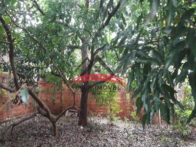 Terreno, 307 m² - Foto 1