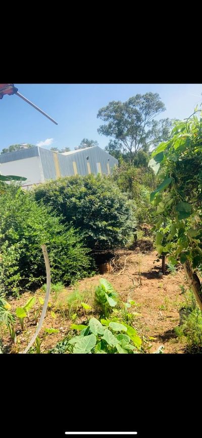Chácara, 3 quartos, 2033 m² - Foto 5