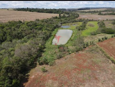 Fazenda, 3 hectares - Foto 1