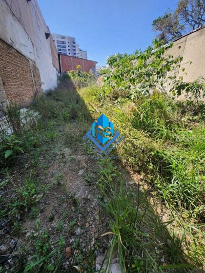 Terreno, 256 m² - Foto 4