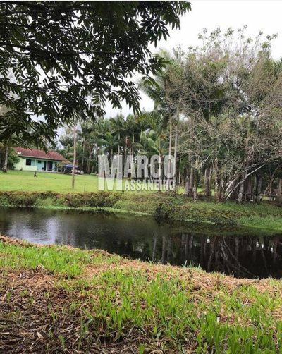 Terreno, 5000 m² - Foto 4