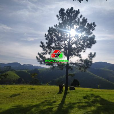 Terreno, 250 m² - Foto 5
