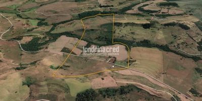 Terreno, 80 hectares - Foto 1