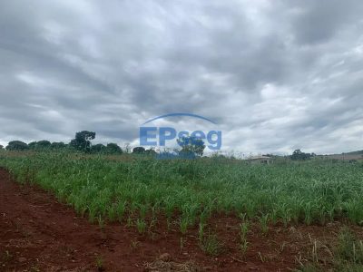 Terreno, 9000 m² - Foto 3