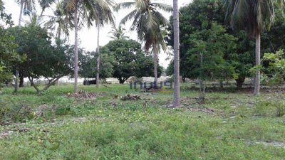 Terreno, 24 m² - Foto 4