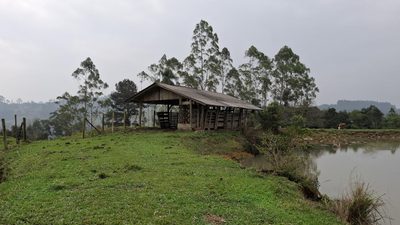 Sítio, 28 hectares - Foto 4