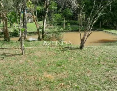 Chácara, 2 hectares - Foto 4