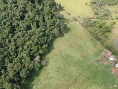 Terreno, 7 hectares - Foto 1