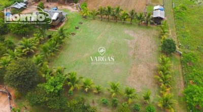 Casa, 2 quartos, 40000 m² - Foto 4
