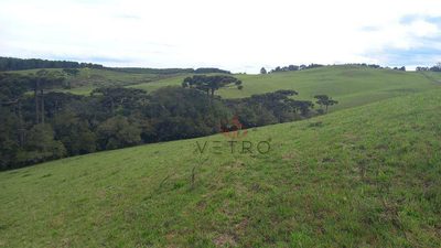 Sítio, 2 quartos, 18 hectares - Foto 4