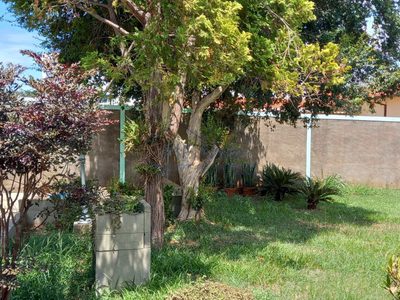 Casa, 2 quartos, 1054 m² - Foto 4