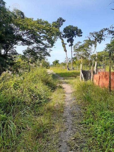 Terreno, 1000 m² - Foto 3