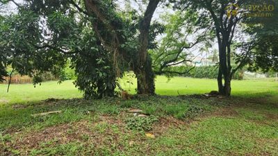 Loteamento e Condomínio, 3070 m² - Foto 5