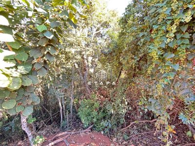 Terreno, 2567 m² - Foto 4