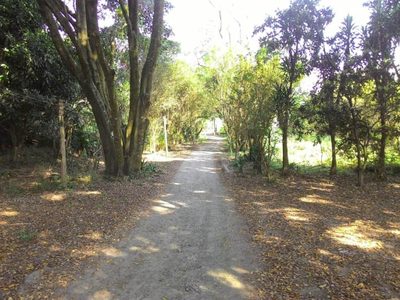 Terreno, 2 hectares - Foto 3