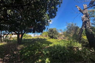 Terreno, 1000 m² - Foto 1